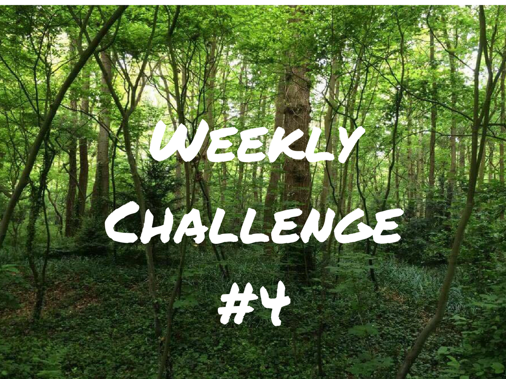 Weekly Challenge #4 – Getting Fit For True Grit!