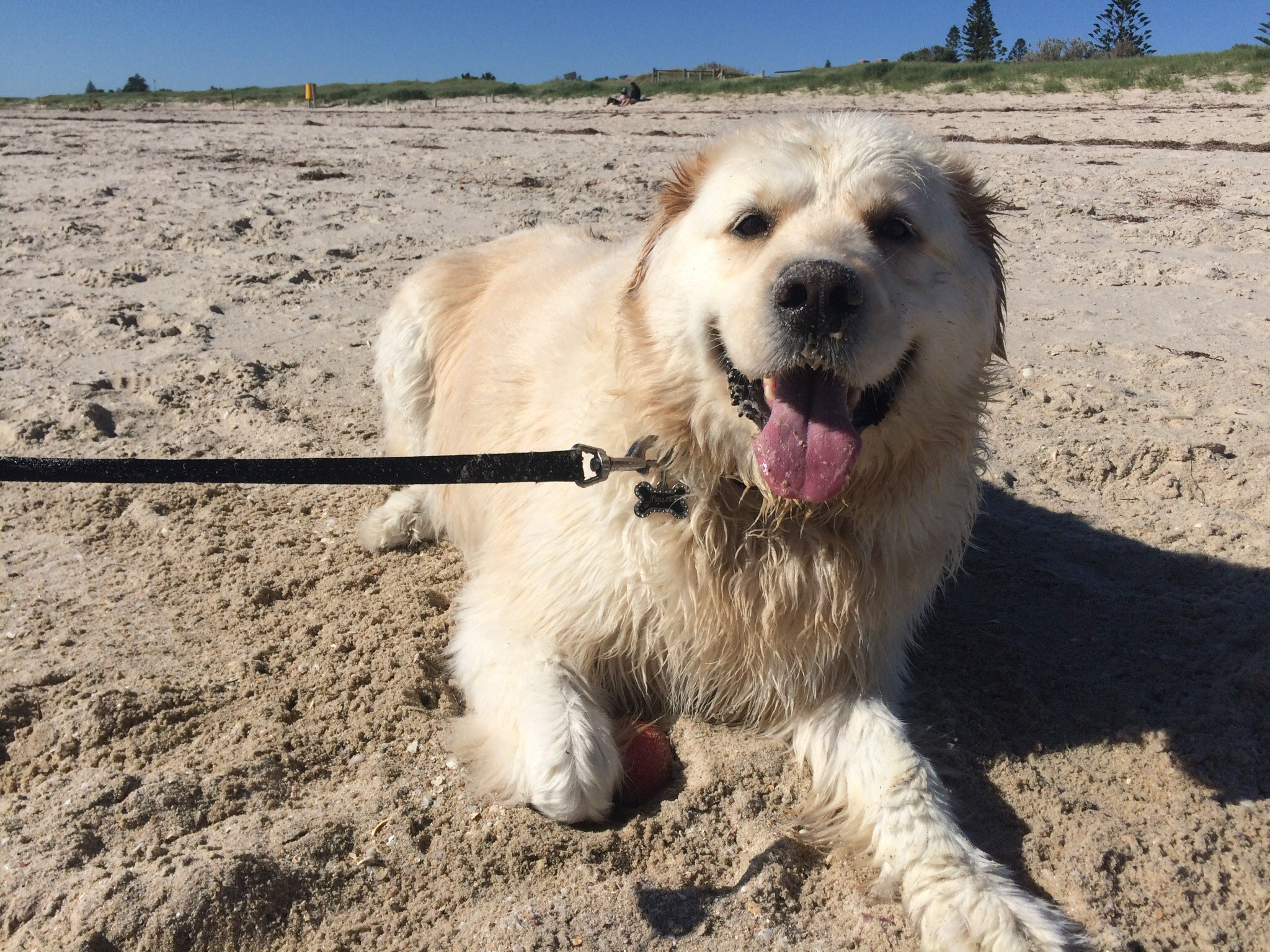 Kaiser’s beach trip